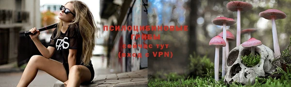 герыч Верхний Тагил