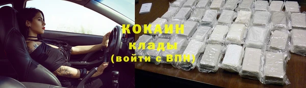 твердый Лиски