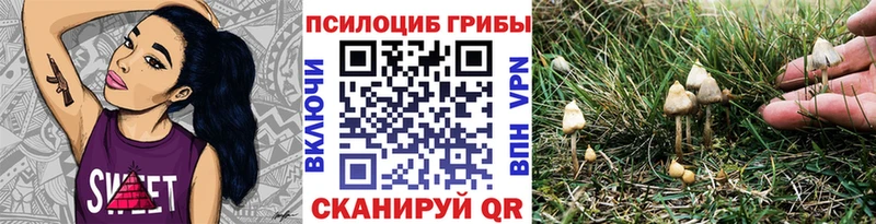 Галлюциногенные грибы мухоморы  Горбатов 